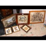 Pressed sea flowers in frames