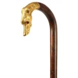 A 19TH CENTURY ROSEWOOD AND GOLD METAL WALKING STICK