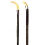 TWO LATE 19TH CENTURY AFRICAN HARDWOOD WALKING STICKS WITH LION TOOTH AND TUSK POMMELS