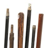 A COLLECTION OF SIX WALKING STICKS