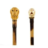 TWO LATE 19TH CENTURY DOGS HEAD WALKING STICKS