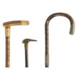 A COLLECTION OF THREE WALKING STICKS