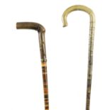 TWO LATE 19TH CENTURY SEGMENTED HORN WALKING STICKS