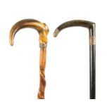 TWO LATE 19TH CENTURY HORN HANDLED WALKING STICKS
