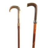 TWO EARLY 20TH CENTURY HORN HANDLED SWORD STICKS