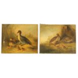 A PAIR OF 19TH CENTURY OILS ON CANVAS DEPICTING GAME BIRDS