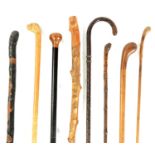 A SELECTION OF EIGHT VARIOUS WOOD WALKING STICKS