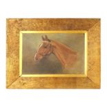 ALFRED G HAIGH (1870-1963) AN EARLY 20TH CENTURY OIL ON BOARD PORTRAIT OF A HORSE