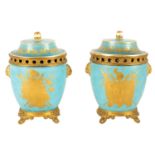 A PAIR OF 19TH CENTURY SEVRES STYLE AND ORMOLU MOUNTED ICE PAILS AND COVERS