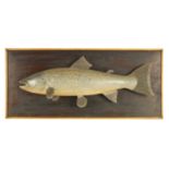 A 19TH CENTURY STYLE CARVED HANGING MODEL OF A SALMON