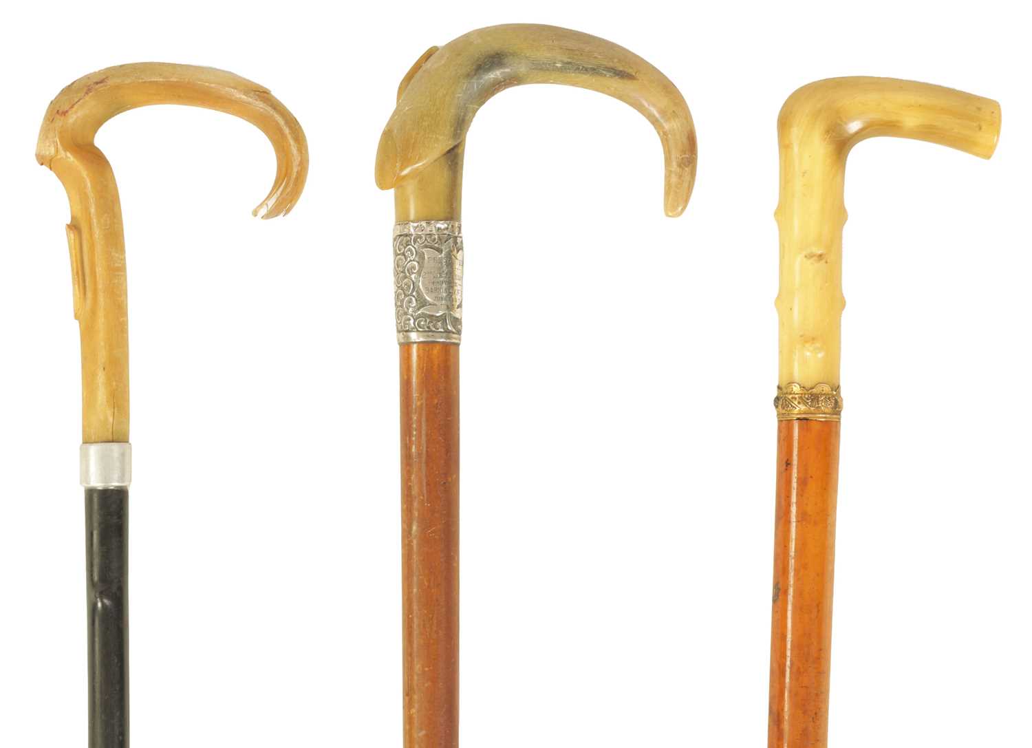 A SELECTION OF THREE HORN HANDLED WALKING STICKS