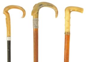 A SELECTION OF THREE HORN HANDLED WALKING STICKS