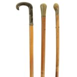 A SELECTION OF THREE LATE 19TH CENTURY HORN HANDLED WALKING STICKS