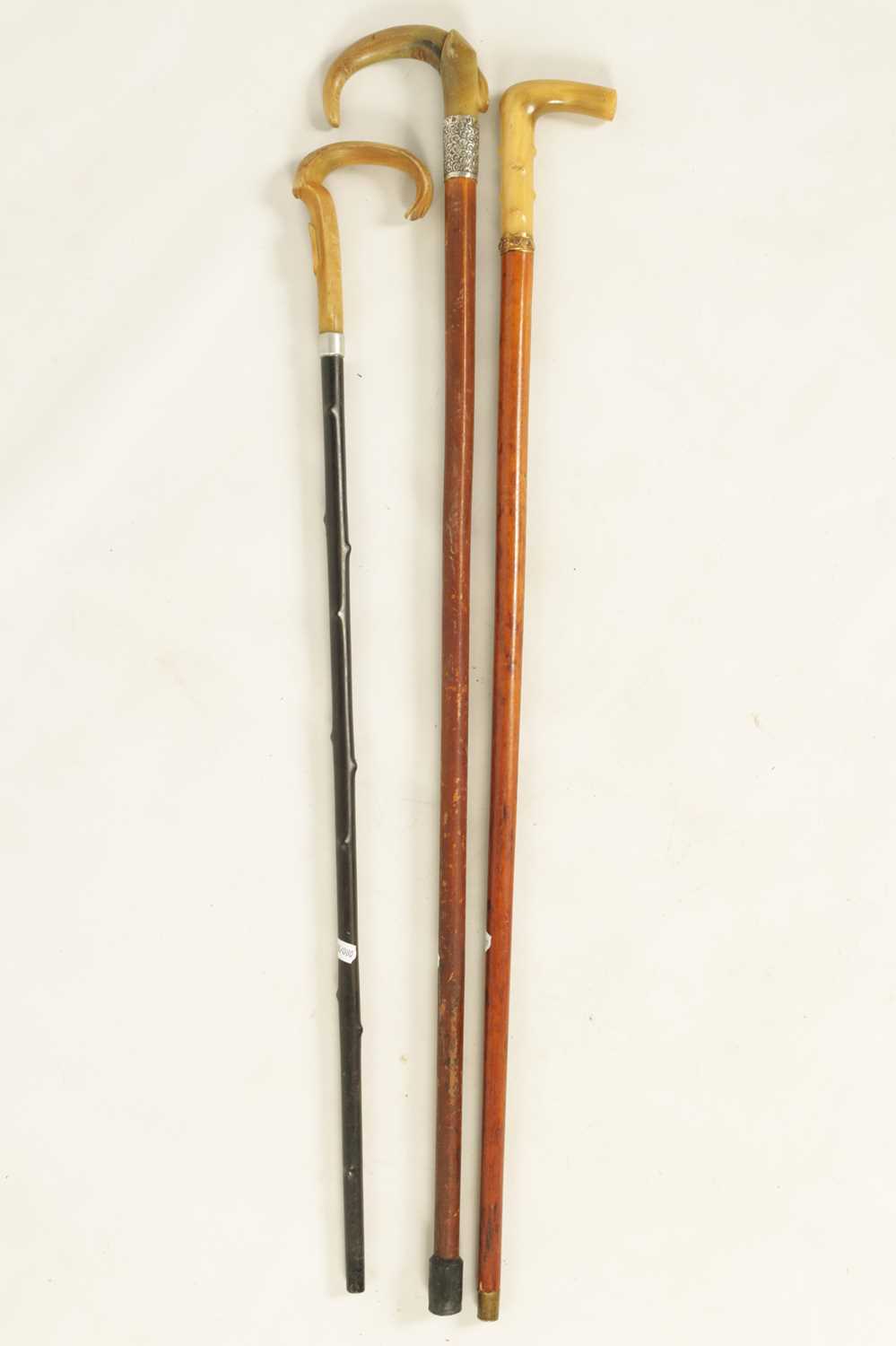 A SELECTION OF THREE HORN HANDLED WALKING STICKS - Image 8 of 8