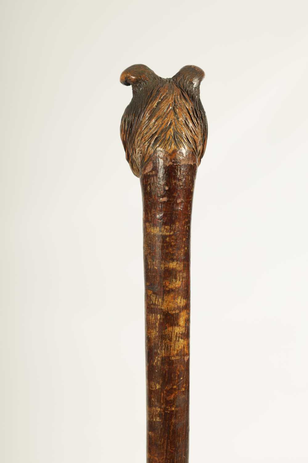 A LATE 19TH CENTURY BLACK FOREST HAZEL CARVED DOGS HEAD WALKING CANE - Image 5 of 6