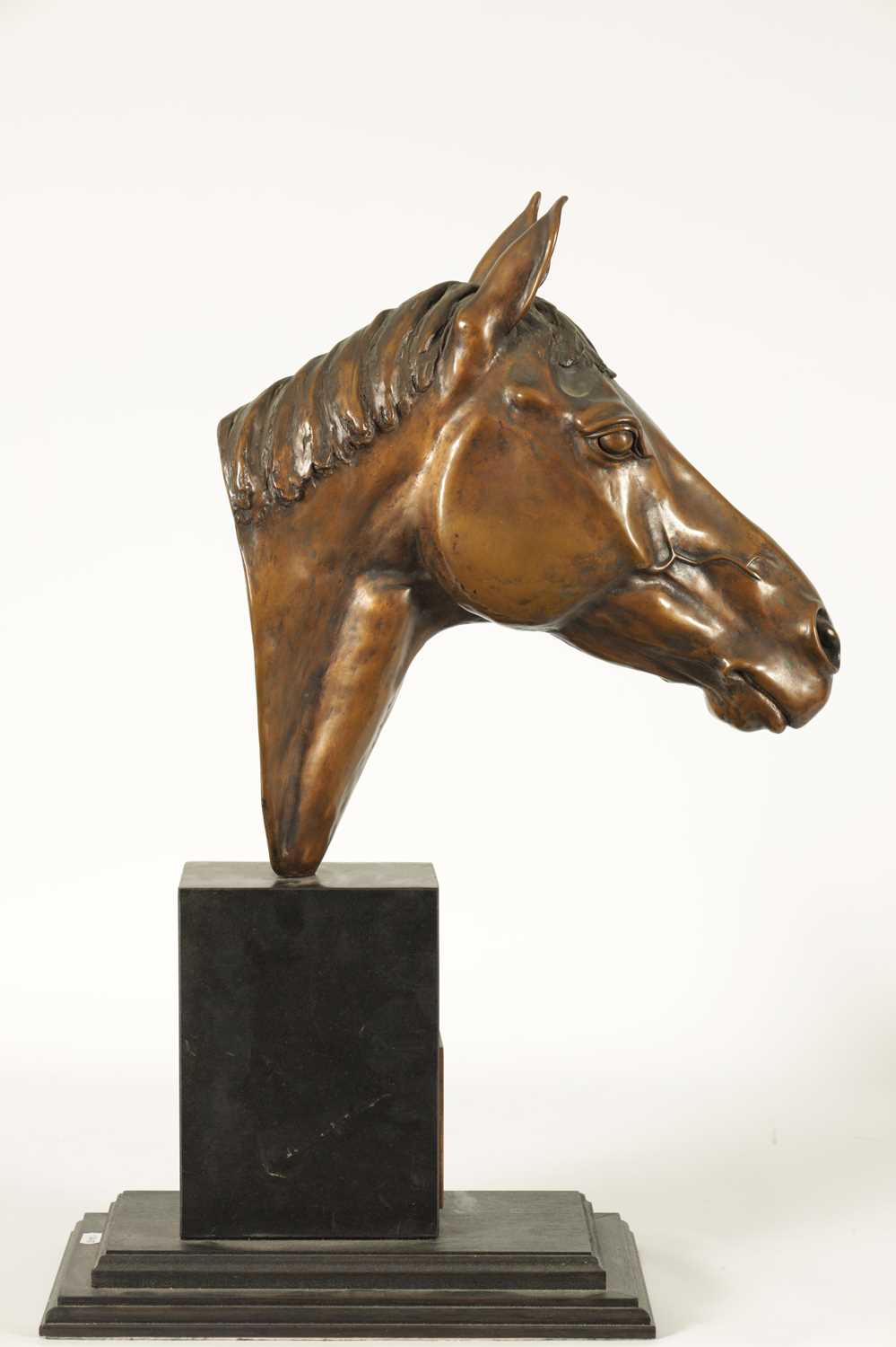 MAUREEN COATMAN. A LARGE LIMITED EDITION BRONZE SCULPTURE OF RED RUM - Image 9 of 13