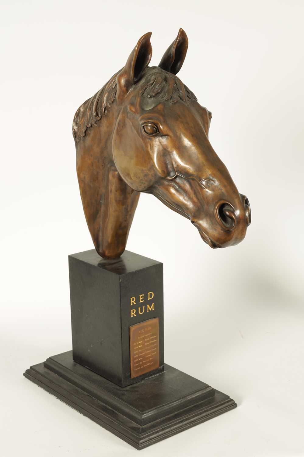 MAUREEN COATMAN. A LARGE LIMITED EDITION BRONZE SCULPTURE OF RED RUM - Image 8 of 13