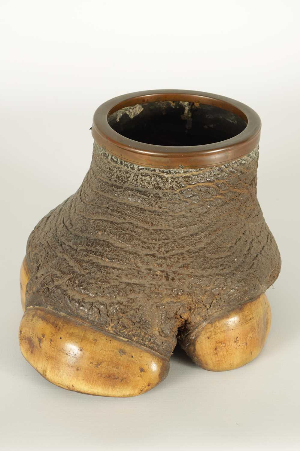 A SMALL LATE 19TH CENTURY TAXIDERMY RHINO FOOT - Image 3 of 8