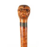A LATE 19TH CENTURY CARVED BOXWOOD DOG'S HEAD WALKING CANE
