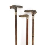 A SELECTION OF THREE RHINOCEROS HORN HANDLE WALKING STICKS