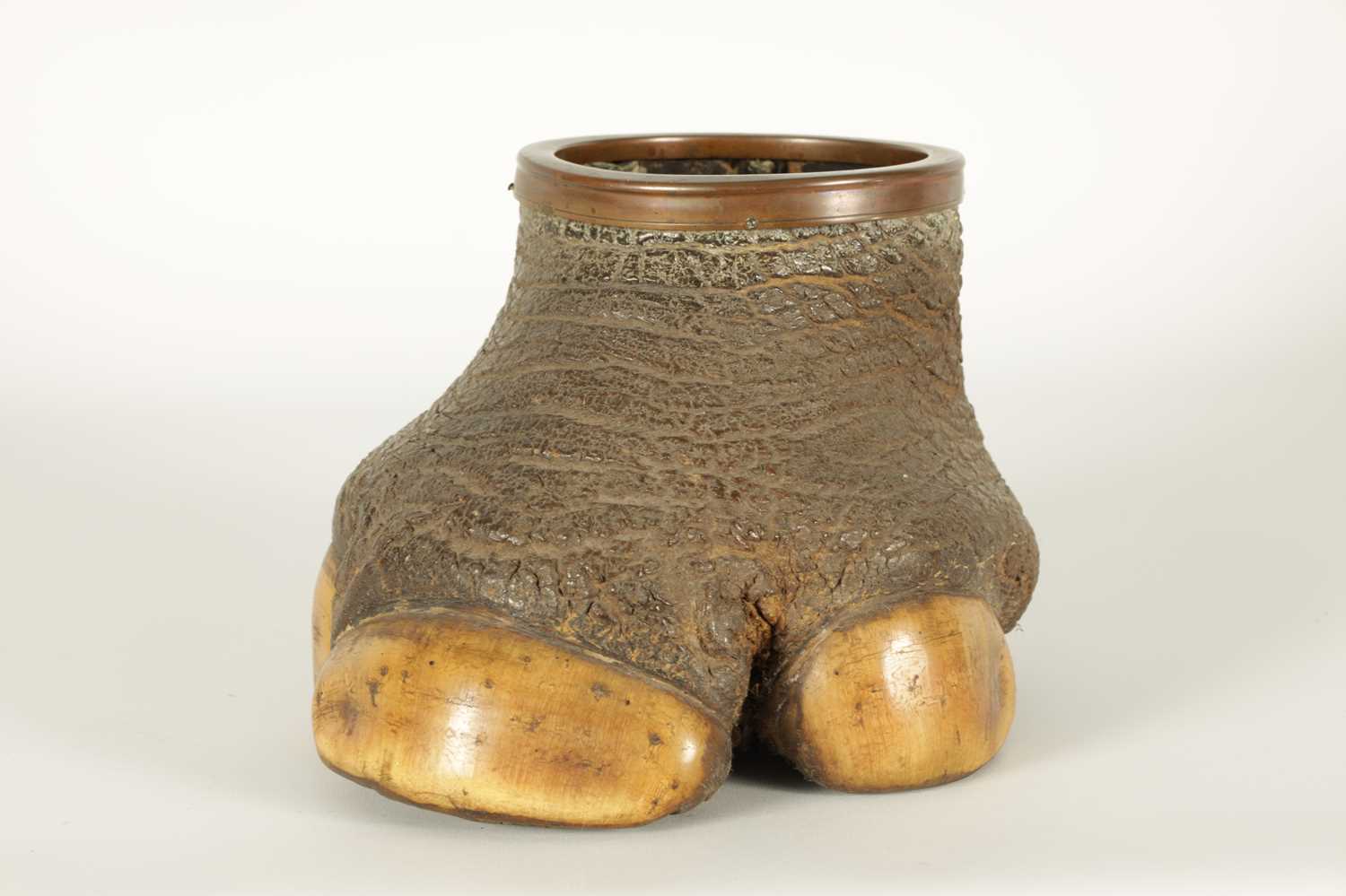 A SMALL LATE 19TH CENTURY TAXIDERMY RHINO FOOT - Image 2 of 8