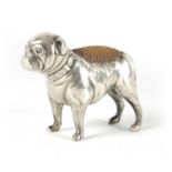 A VICTORIAN SMALL SILVER PIN CUSHION IN THE FORM OF A BULLDOG