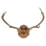 A LARGE 19TH CENTURY MOUNTED BLACK FOREST PAIR OF STAGS HORN ANTLERS