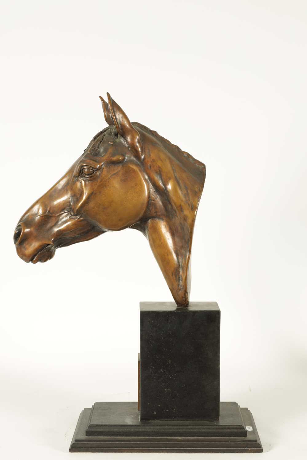MAUREEN COATMAN. A LARGE LIMITED EDITION BRONZE SCULPTURE OF RED RUM - Image 13 of 13