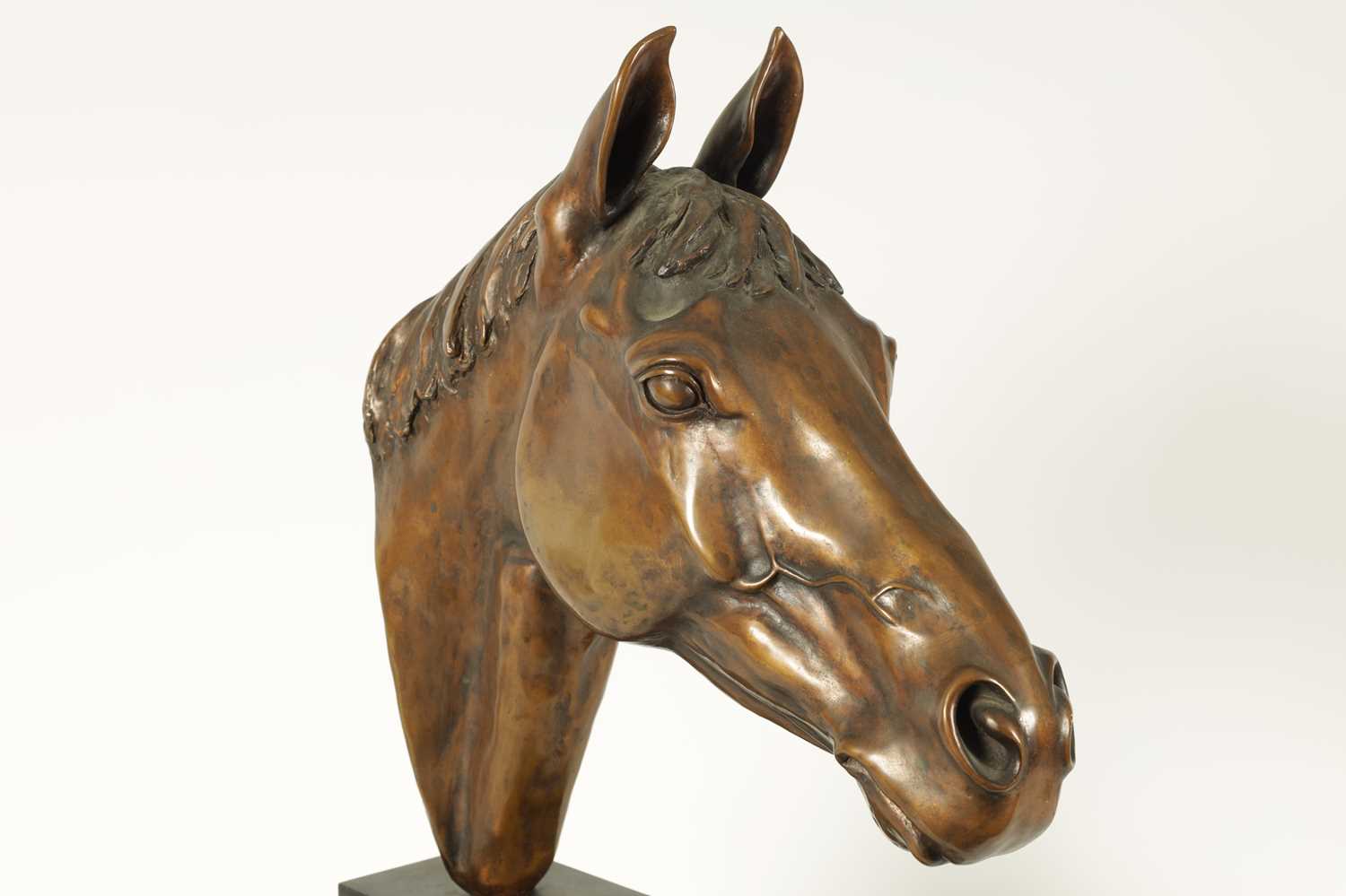 MAUREEN COATMAN. A LARGE LIMITED EDITION BRONZE SCULPTURE OF RED RUM - Image 7 of 13