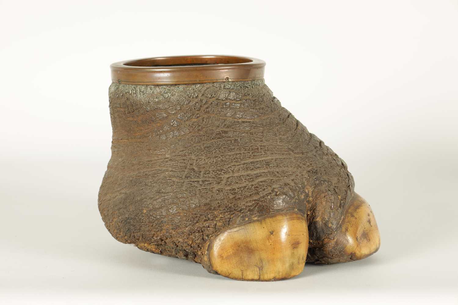 A SMALL LATE 19TH CENTURY TAXIDERMY RHINO FOOT - Image 7 of 8