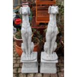 Pair of Hounds on square concrete bases 104cm