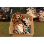 Collection of assorted Sea Shells and bygones