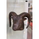 Michael Brewer Model of a Soay Rams Head