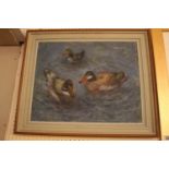 Peggy Gedge 20thC British; 'Ducks' Oil on canvas original 1978. 50 x 40
