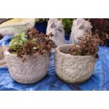 Pair of Circular Concrete garden planters