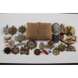 Colelction of assorted Military Air Force and other Badges and a WW2 Bandage