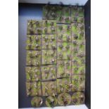 Collection of Hand Painted 25mm WWI Russian Troops inc. Cavalry, Infantry etc