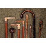 Collection of 19thc and later walking sticks inc. Bone handles