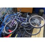 Collection of 3 Bikes, Storm, Peugeot and Triumph