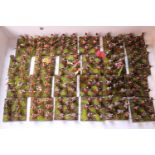 Collection of Hand Painted 25mm Metal and Plastic Spanish figures