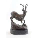 Bronze of a Stag in naturalistic setting mounted on marble base. 25cm in Height