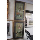 Pair of Framed Chinese Watercolours of Birds amongst Prunus