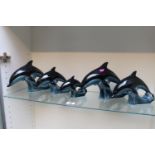 Set of 5 Poole Pottery Dolphins of assorted sizes with printed marks to base