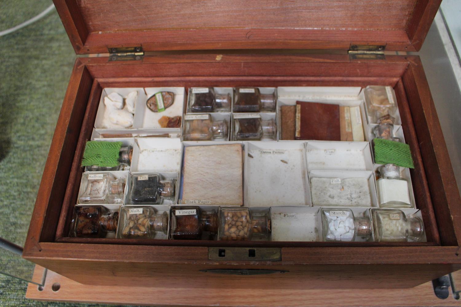 Edwardian Fitted wooden box of 3 trays with assorted Samples - Image 2 of 3