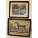 2 19thC Equine Engravings Gimrack and The Brown Bay Arabian