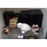 Collection of 4 Royal Crown Derby paperweights to include Barn Owl, Little Owl, Tawny Owl and