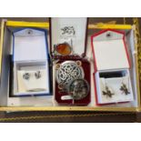 Collection of assorted Silver inc. Hot Diamonds, 19thC Feline brooch, Gemstone set necklace etc