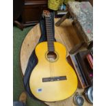 Fender Acoustics ESC-110 NS Guitar in case