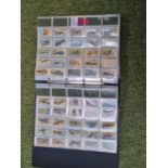 Large collection of Cigarette Cards to include Godfrey Phillips, Player & Son's Cricketers, Will's
