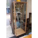 Modern Glazed China cabinet